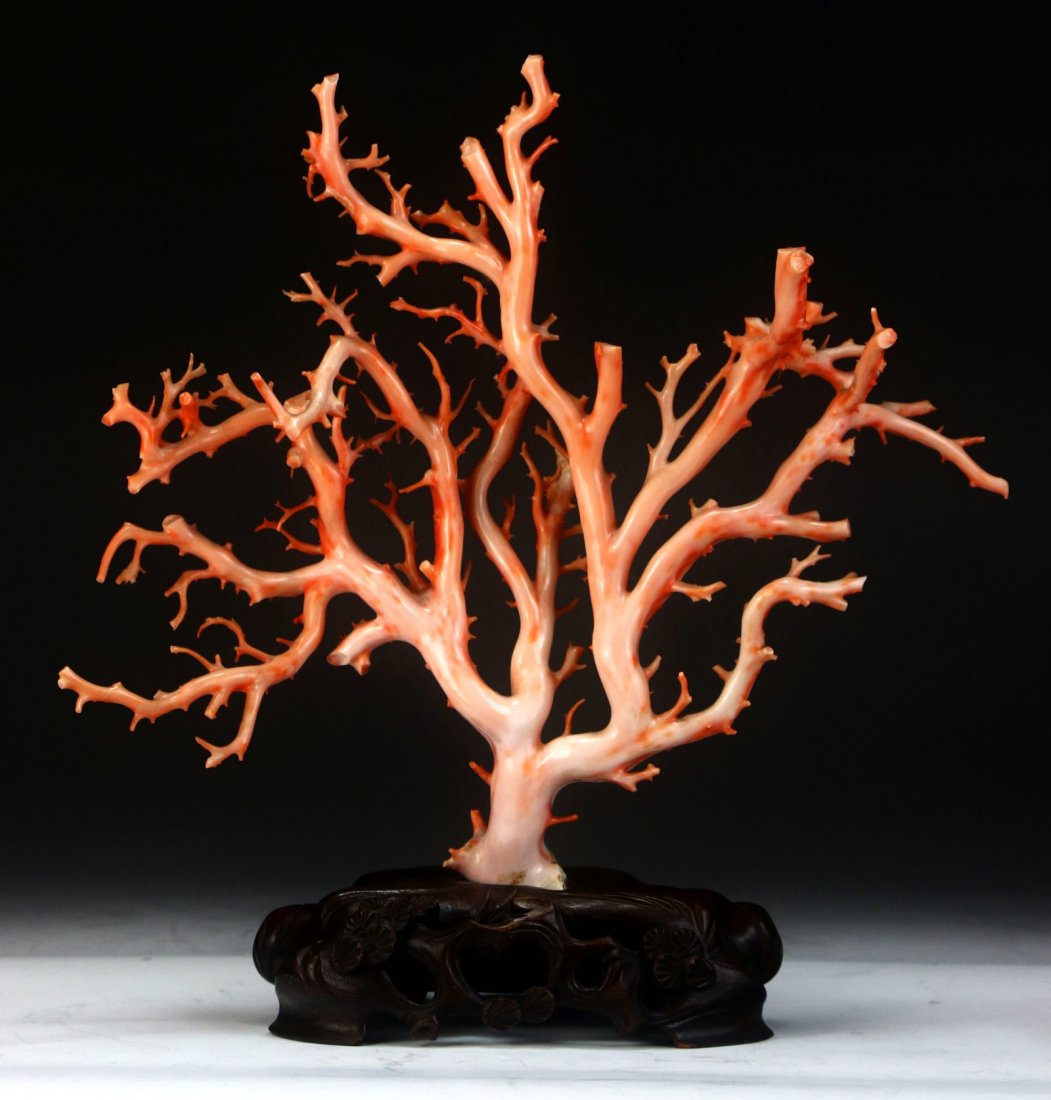 A Natural Pink Coral Branch On Stand (1 of 5)