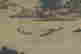 item-44512165=4