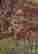 item-21660845=3