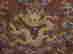 item-21660845=4