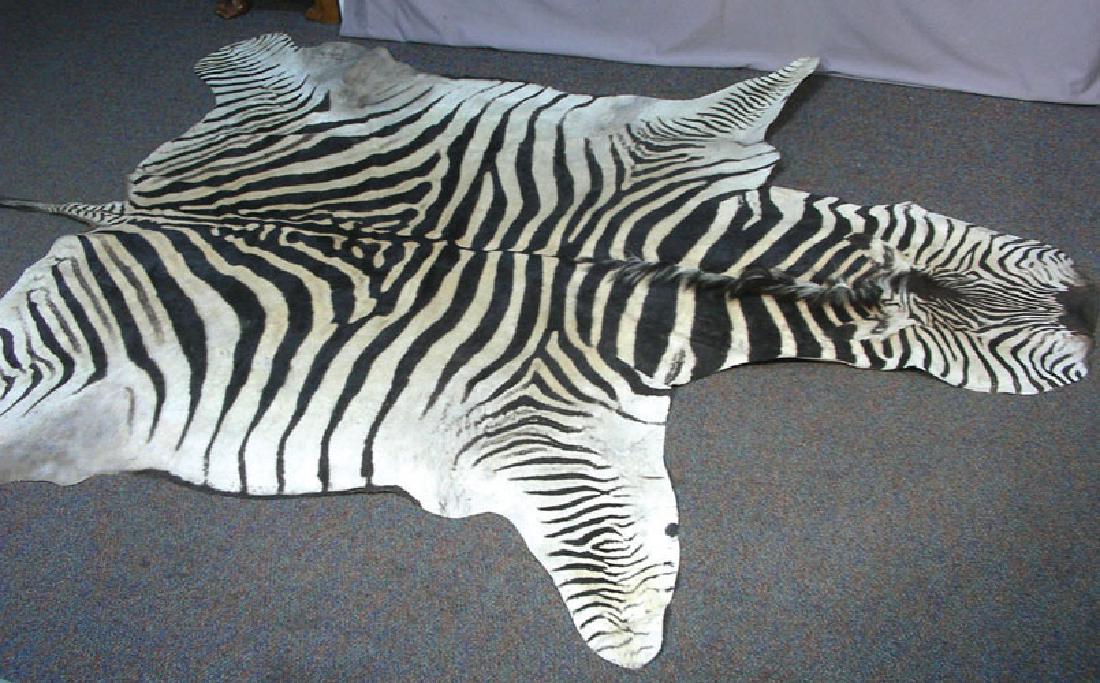 LARGE CUSTOM MADE ORIGINAL ZEBRA SKIN RUG (1 of 3)