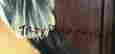 item-65905347=2