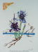 SALVADOR DALI (1904-1989) SPANISH