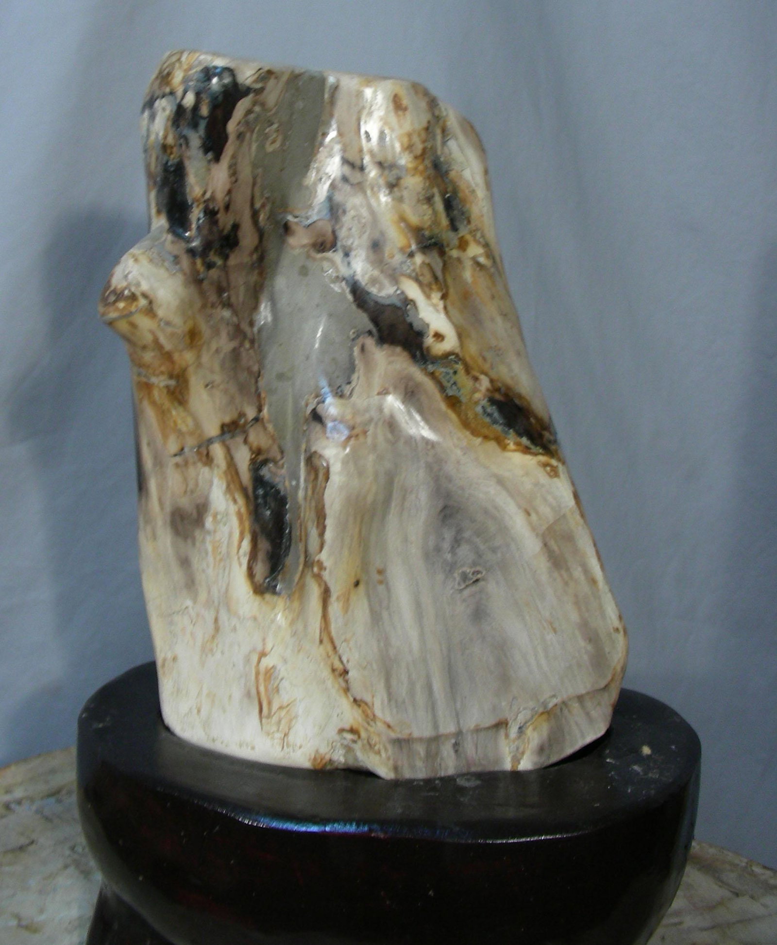 ANTIQUE PETRIFIED WOODEN SCULPTURE ON STAND: Abstract petrified wooden sculpture on base. It takes 2 million years for wood to turn to stone. 18" high.