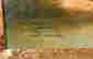 item-121034898=2