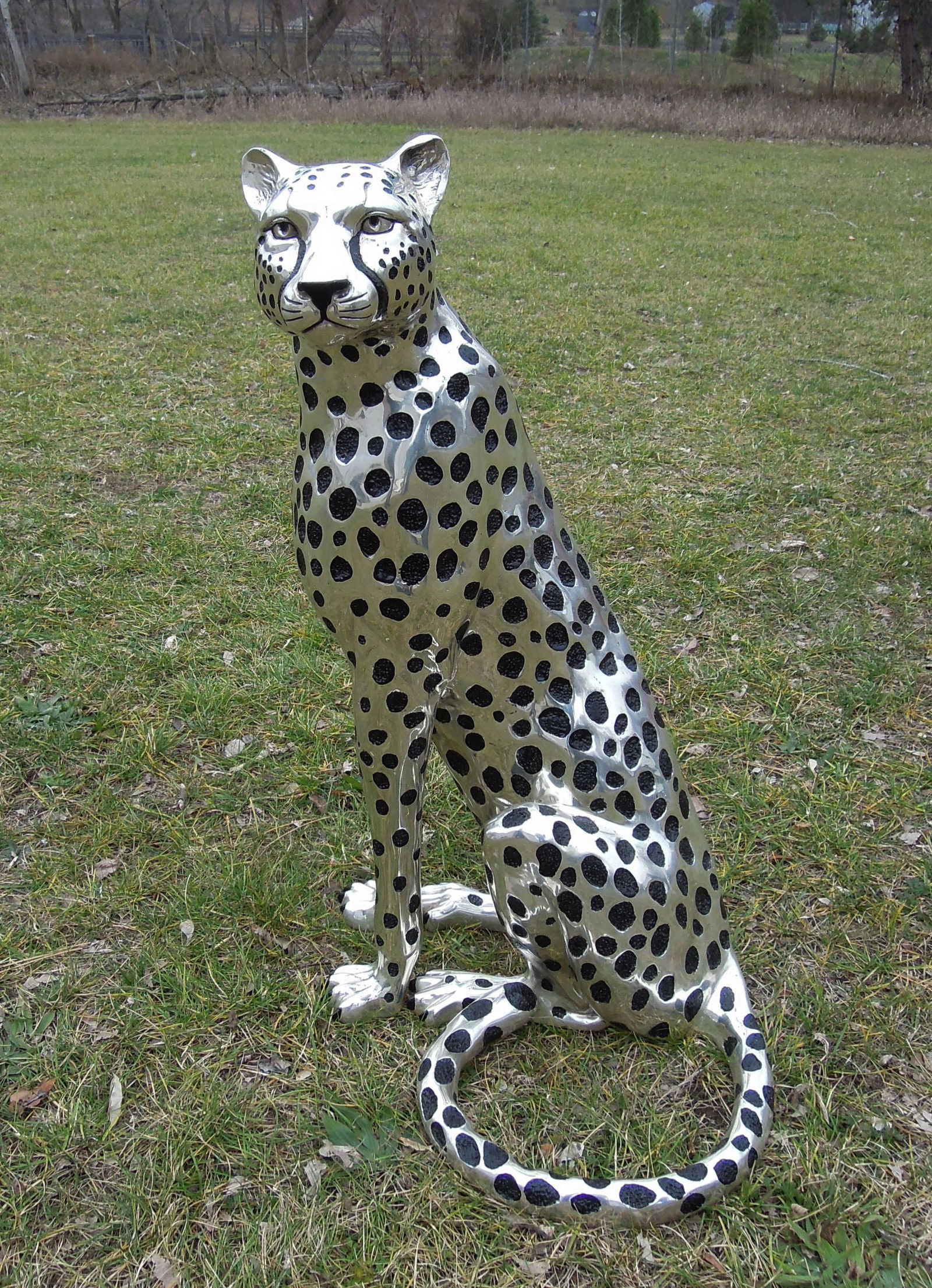 UNUSUAL LIFE SIZE BRONZE SEATED CHEETAH: Rare silver & black patina. Excellent detail. 35" high.