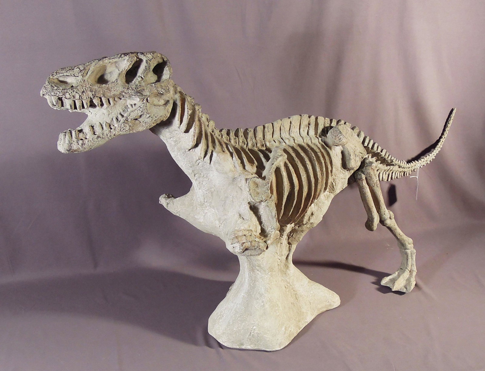 REPRODUCTION SKELETON OF A TYRANNOSAURUS REX: 26" high, 52" long.