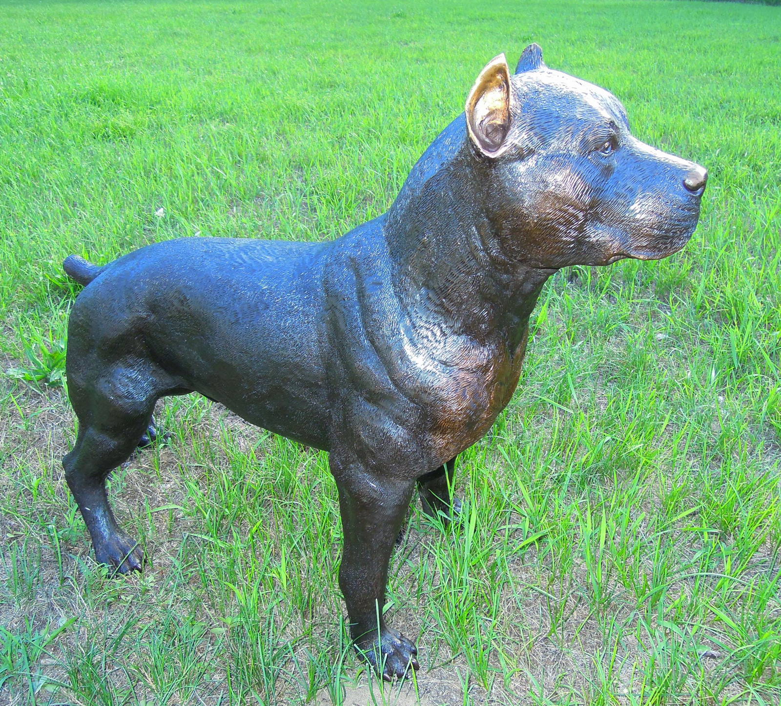 Very Fine Life Size Bronze Sculpture Of Standing Pitbull Auction