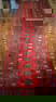 HAND KNOTTED BOKHARA RUNNER