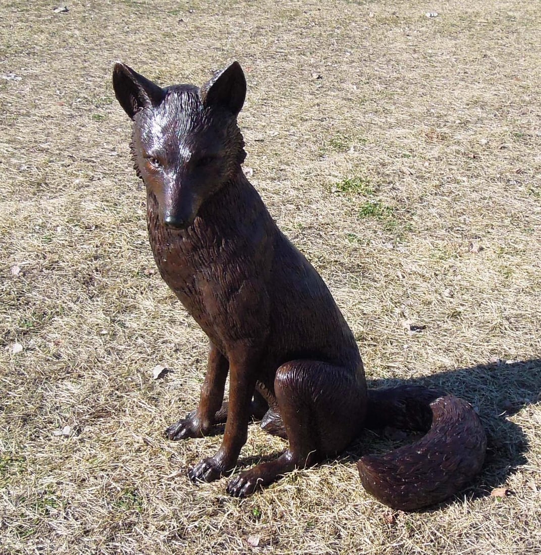 LIFE SIZE BRONZE SCULPTURE OF SEATED FOX (1 of 1)