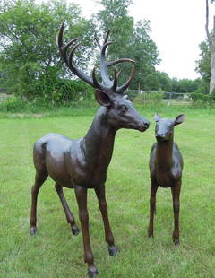 PAIR LIFE SIZE BRONZE SCULPTURES OF DEER "BUCK & DOE": Very heavy. Excellent detail. Brown patina. Buck 76" high, Doe 56" high.