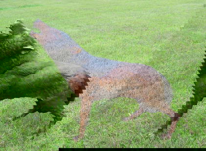 LIFE SIZE BRONZE SCULPTURE OF HOWLING WOLF: Very fine detail. Two color patina. 34 1/2" high, 45" long.