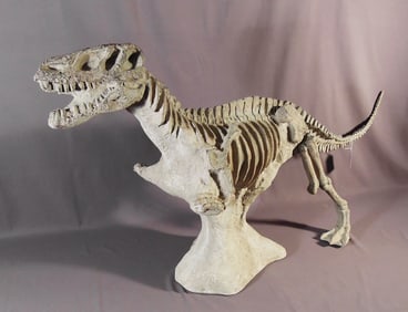 REPRODUCTION SKELETON OF A TYRANNOSAURUS REX