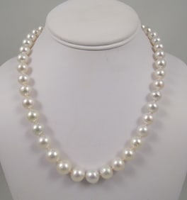 LADIES 14K Y.G. & SOUTH SEA PEARL NECKLACE