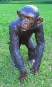HEAVY LIFE SIZE BRONZE SCULPUTRE OF STANDING MONKEY