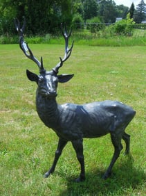 VERY HEAVY VINTAGE LIFE SIZE BRONZE SCULPTURE OF STANDING DEER