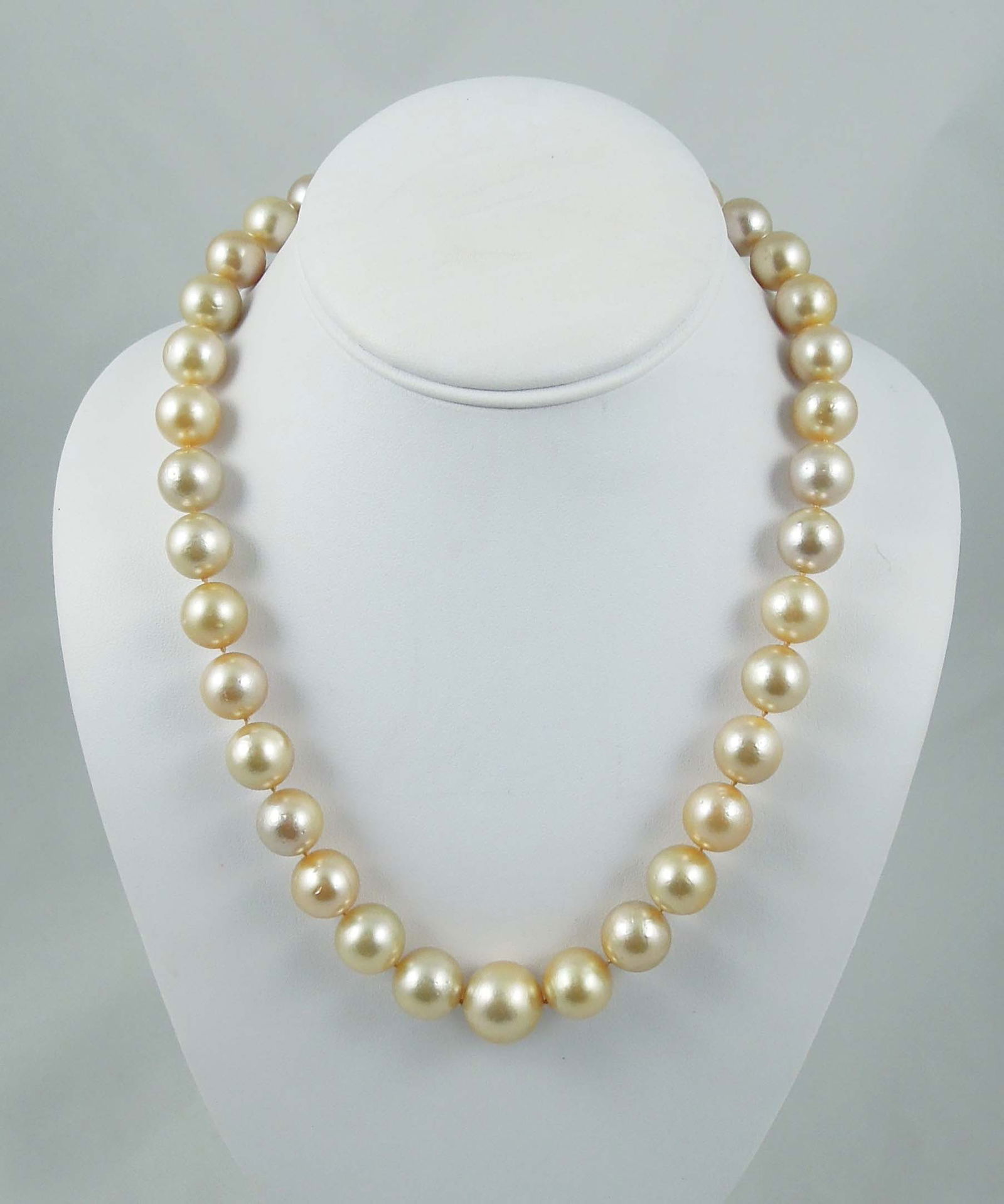 LADIES 14K Y.G., GOLDEN SOUTHSEA PEARL NECKLACE (1 of 1)