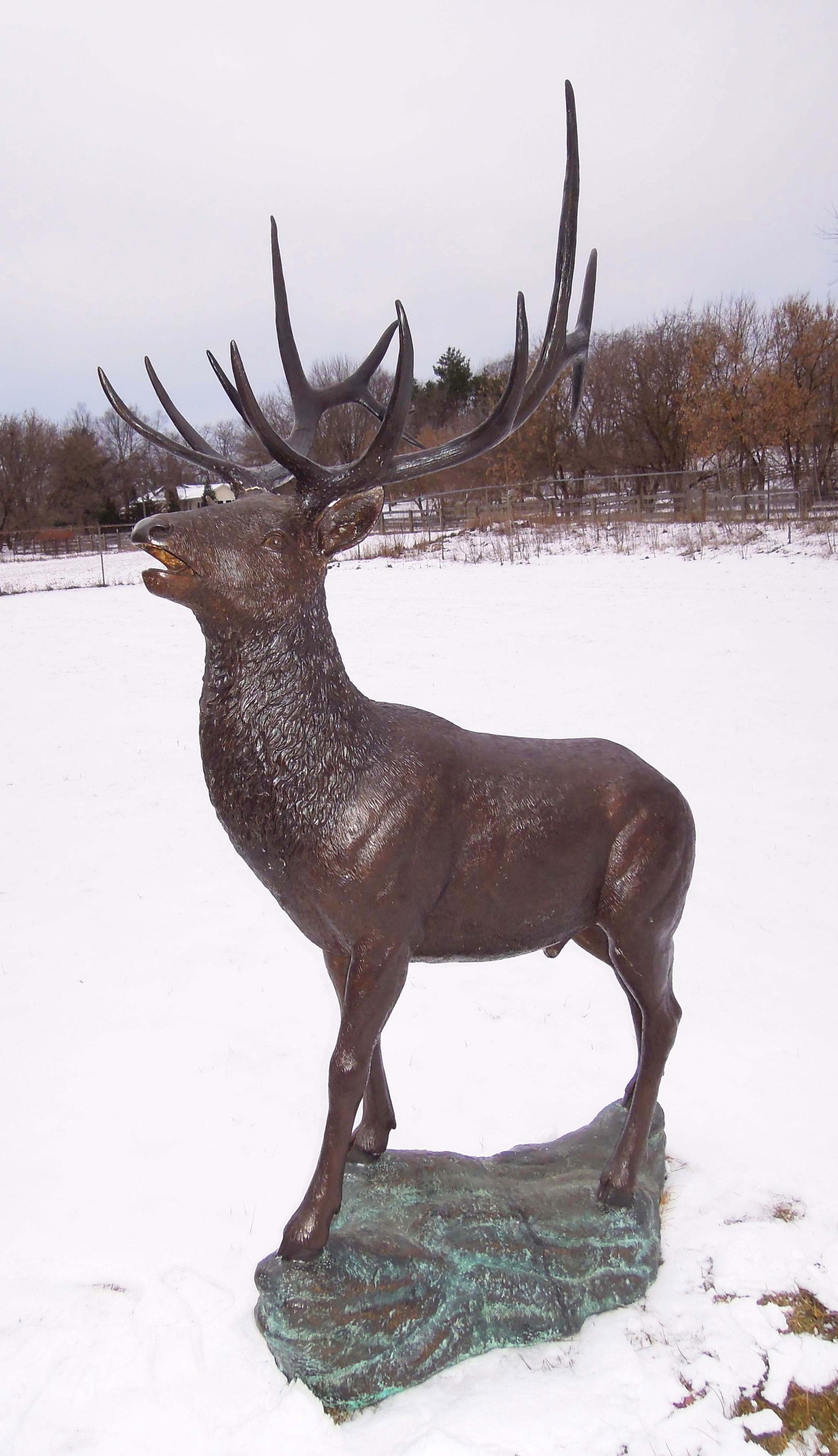 LIFE SIZE BRONZE ELK STANDING RON ROCK (1 of 2)
