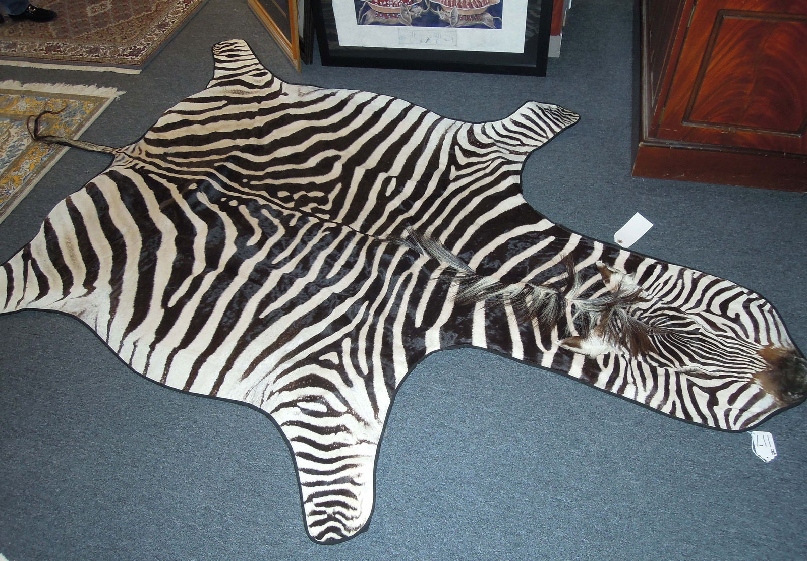 VERY FINE LARGE AUTHENTIC ZEBRA RUG: Complete with metal hangers on back. Including tail 9' x 67".