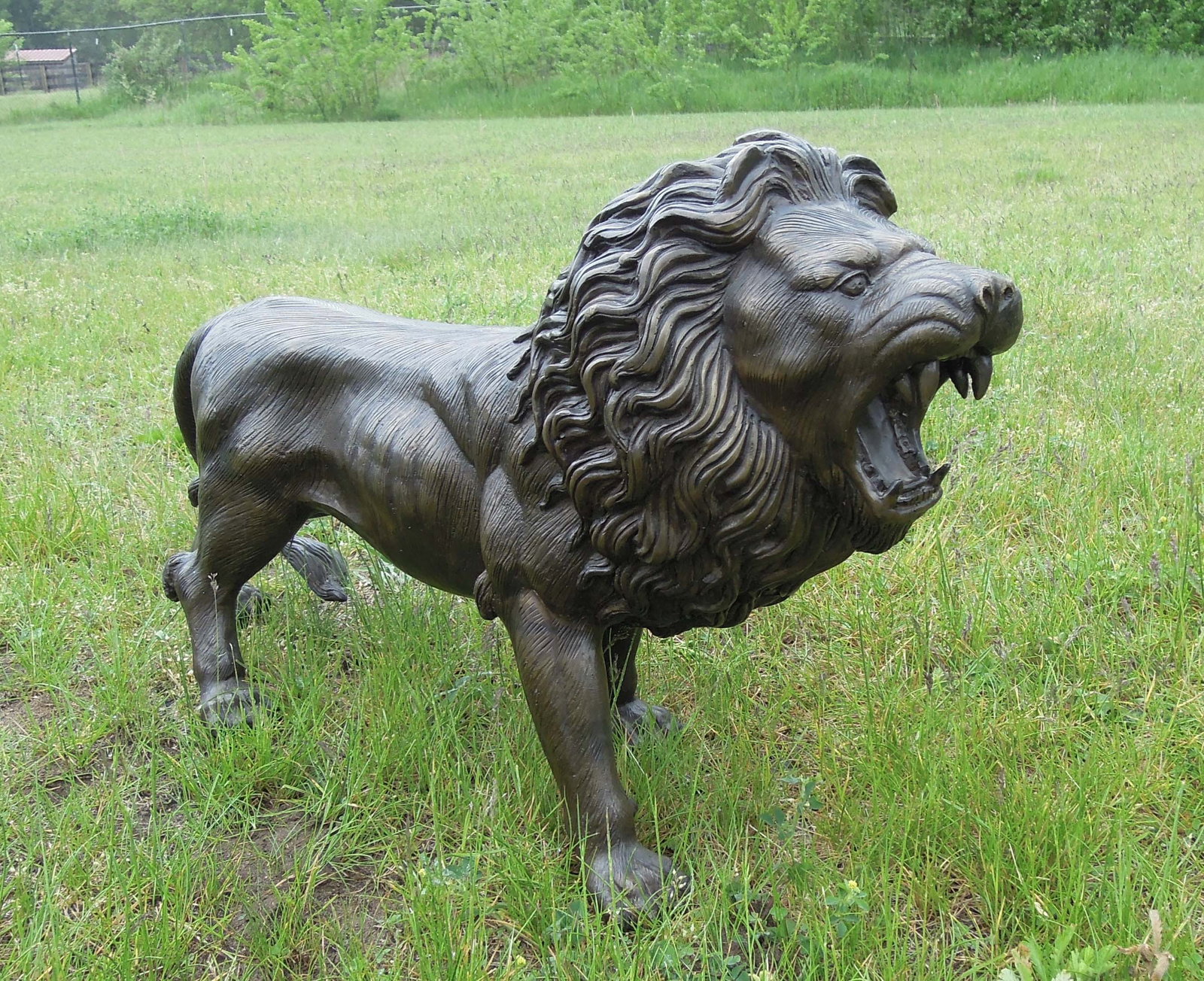 BRONZE SCULPTURE OF STALKING LION: Excellent detail. Brown patina. 19" high, 8" wide, 31" deep.