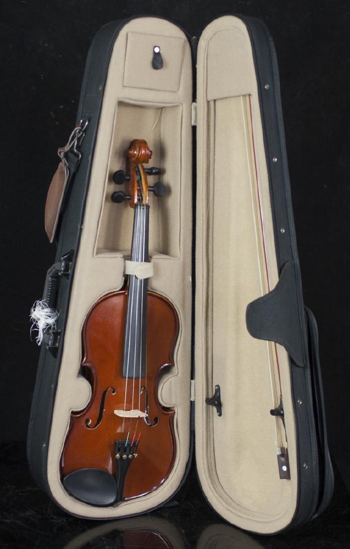 Palatino Wood Violin (1 of 6)