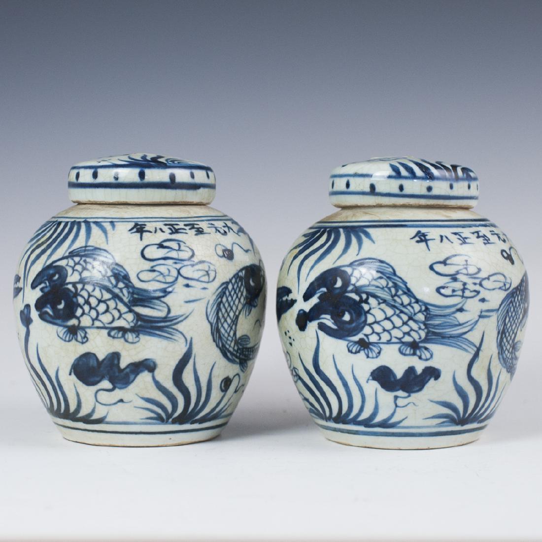 Antique Chinese Blue & White Porcelain Ginger Jars (1 of 7)