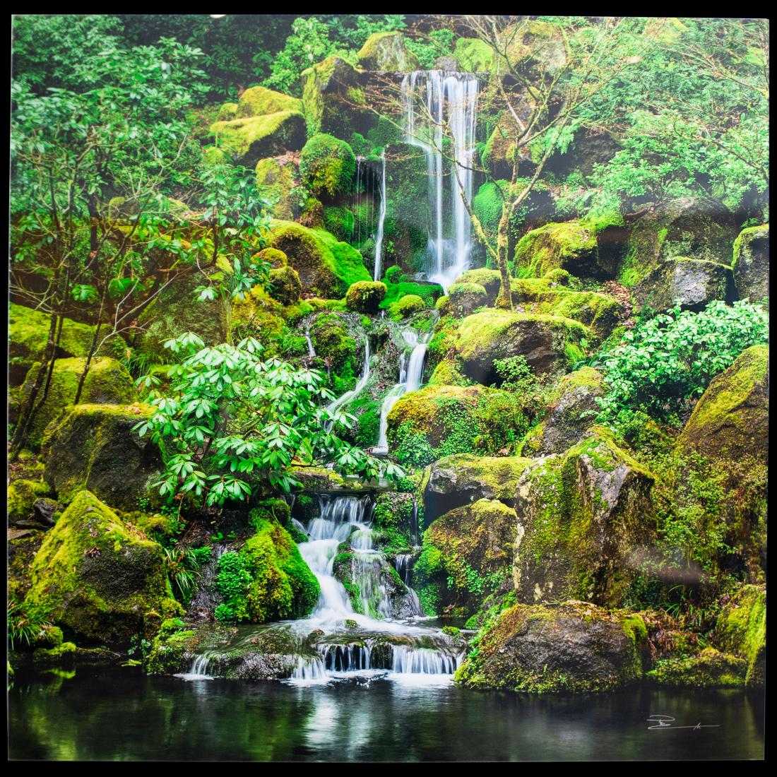 Peter Lik ( B. 1959 Australia) "Jade Garden" (1 of 4)