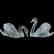 Pair of Lalique Crystal Swans - 6