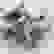 item-71764299=3