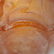 Daum Pate De Verre Crystal "Les Figues" Bowl - 8