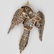 Victorian Diamond, 18K and Silver Parrot Brooch - 5