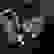 item-72198332=6
