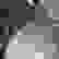 item-74107038=4