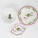 (131 Pc) Lynn Chase "Parrots of Paradise" Porcelain - 13