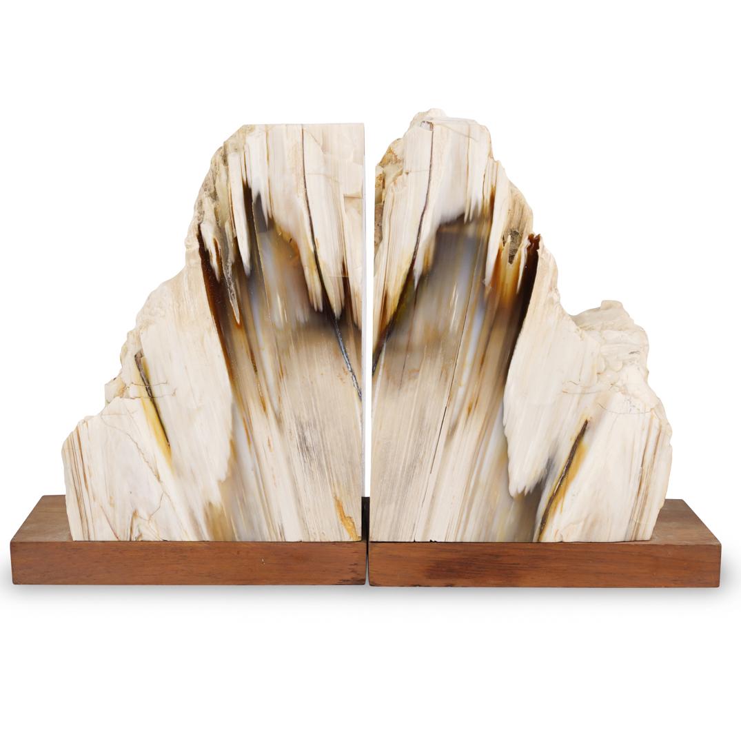 Polished Petrified Wood Bookends (1 of 4)