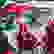 item-76317379=2