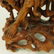 Chinese Huangyang Wood Carving - 4