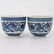Pair Of Chinese Qing Dynasty Blue and White Porcelain - 2