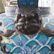 (2 Pc) Palace Sized Chinese Cloisonne Censors - 9