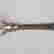 item-81682330=5