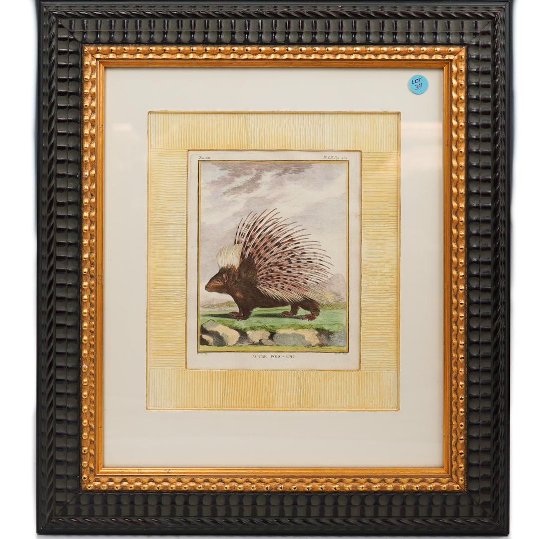 Hand Colored Engraving Print by Charles Baquoy (1 of 3)