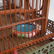 Antique Chinese Bird Cage - 10