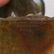 Daum Pate De Verre Falcon - 8