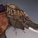 Decorative Oriental Elephant - 7