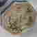 item-85680141=10