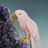 Large Amethyst and Rose Quartz Parrot Sculpture - 2