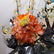 Palaze Sized Chinese Jade and Semi Precious Stone Tree - 11