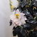 Palaze Sized Chinese Jade and Semi Precious Stone Tree - 12