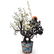 Palaze Sized Chinese Jade and Semi Precious Stone Tree - 16