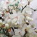 Palaze Sized Chinese Jade and Semi Precious Stone Tree - 6